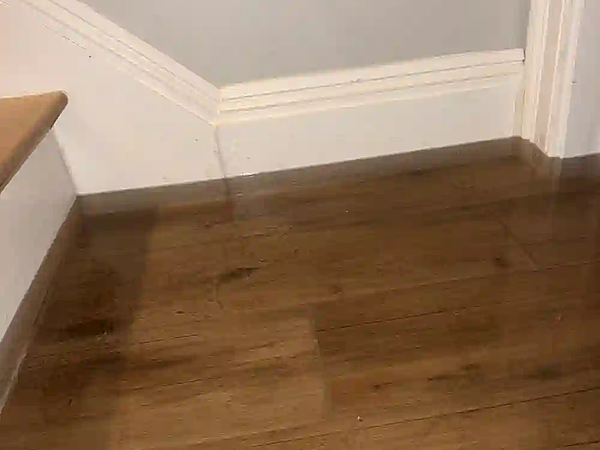 Is Your Basement in Billerica Starting to Flood After Heavy Rain?