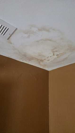 How Mold Can Affect the Air You Breathe in Massachusetts Homes