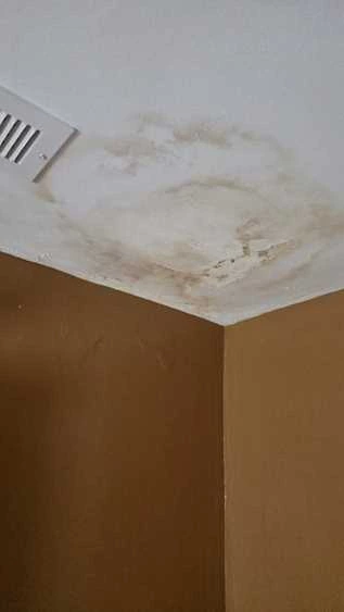 How Mold Can Affect the Air You Breathe in Massachusetts Homes
