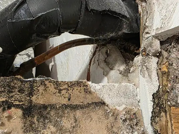 Why Black Mold Forms in Massachusetts Basements