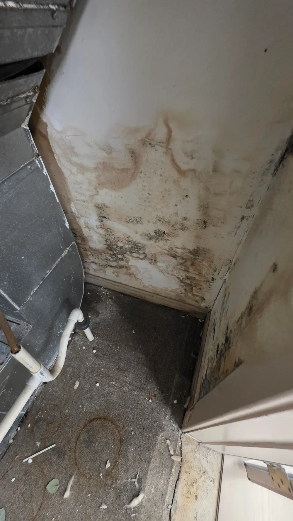 Mold Removal in Massachusetts After Spring Water Damage