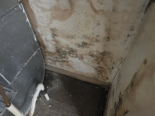 Mold Removal in Massachusetts After Spring Water Damage