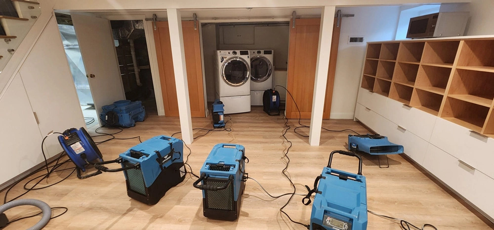 Flood Damage vs. Water Damage – What's the Difference?