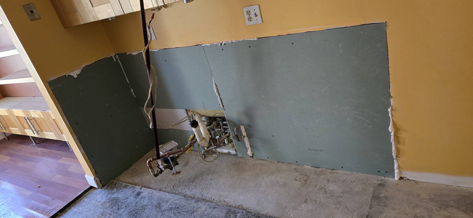 Basement mold caused by poor drainage, humidity, and water intrusion in Carlisle City