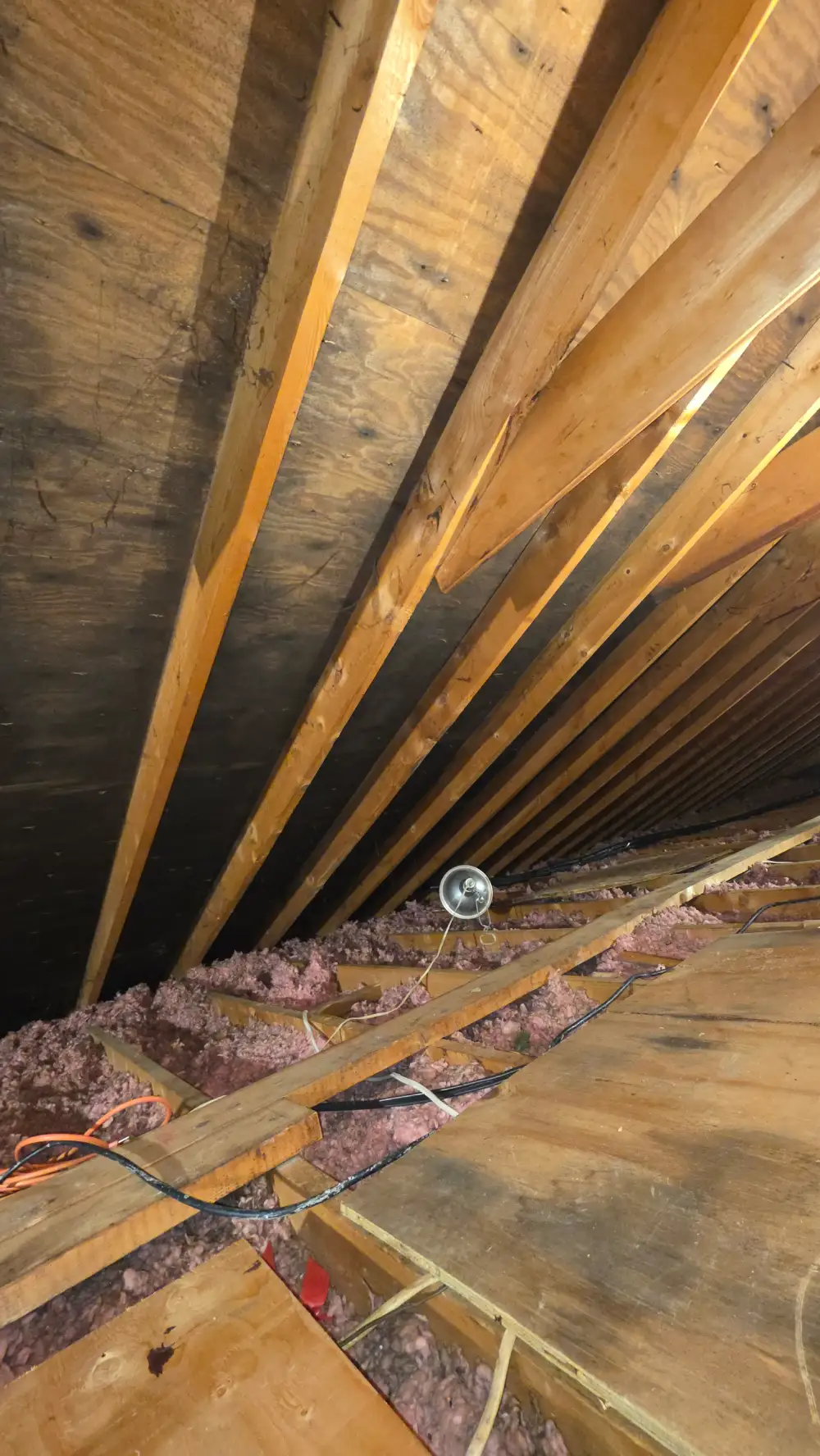 Mold growth in Billerica caused by water damage within days