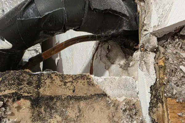 Why Black Mold Forms in Massachusetts Basements