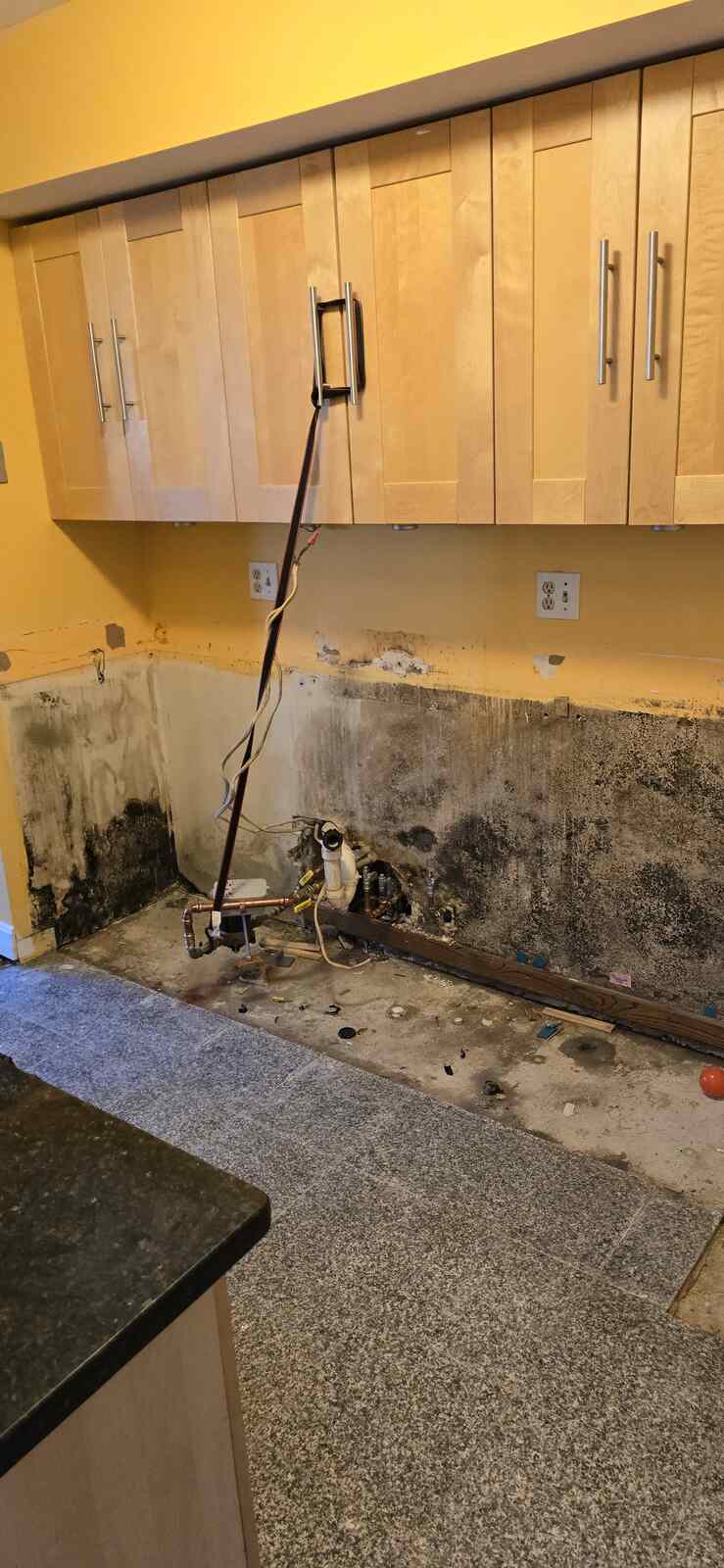 Mold removal services in Massachusetts after spring water damage