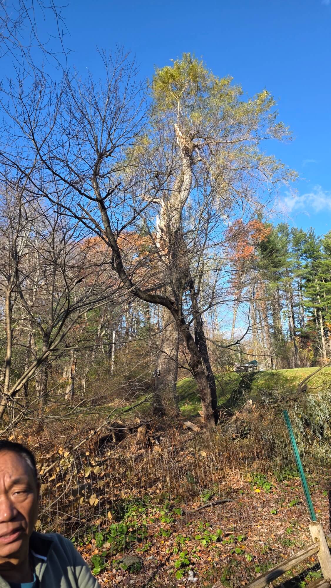 202511042258153_20251104093124