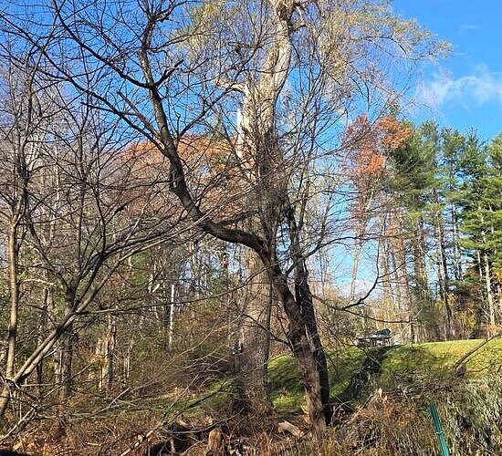 202511042258153_20251104093124