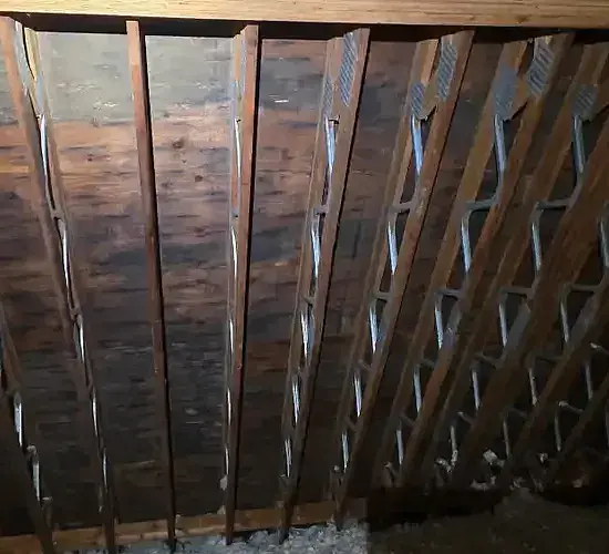 Mold Removal in Attic