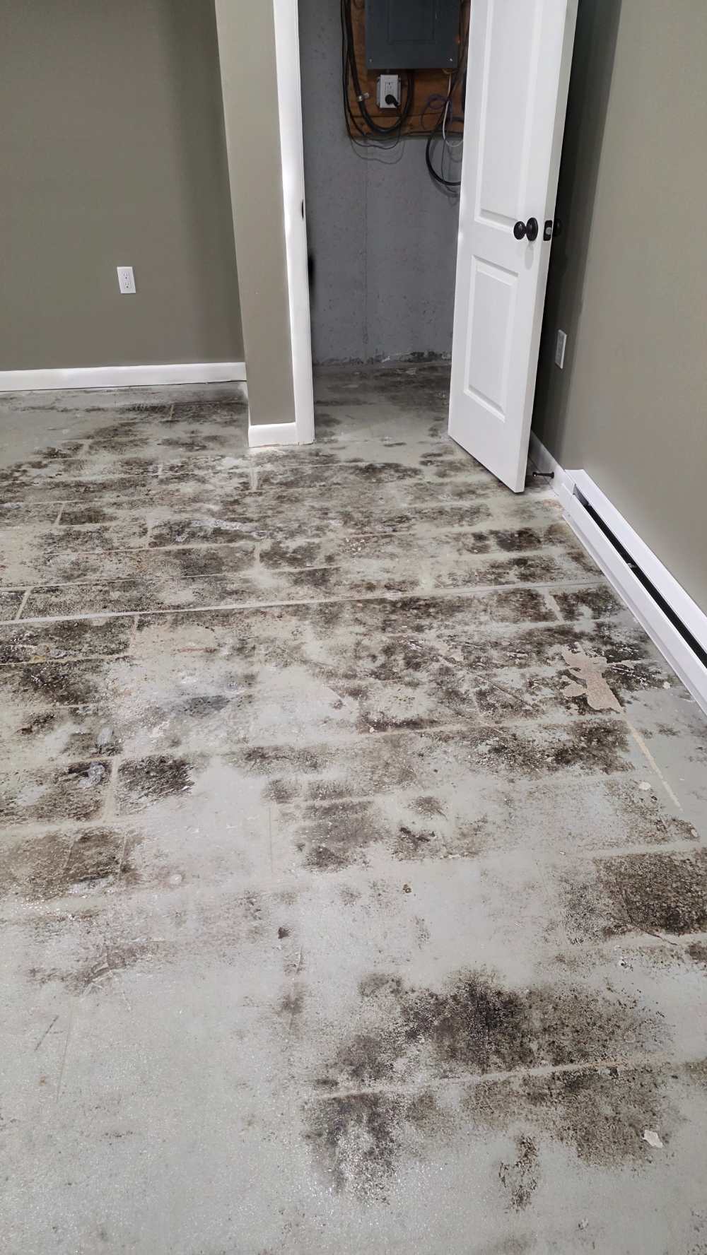 Beforeimage1-blackmoldinbasement