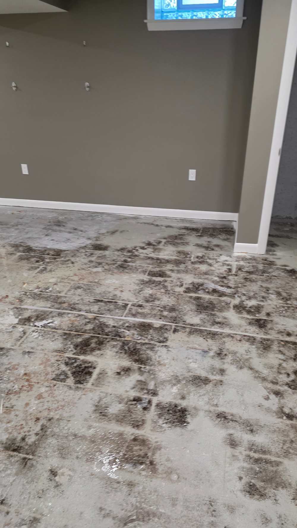 Beforeimage2-blackmoldinbasement