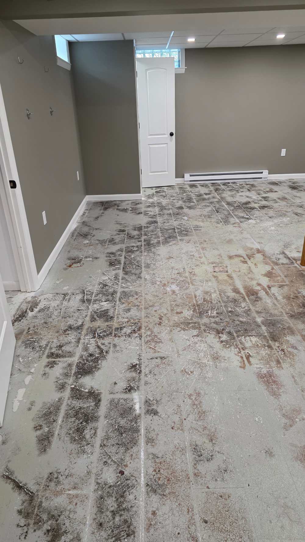 Beforeimage3-blackmoldinbasement