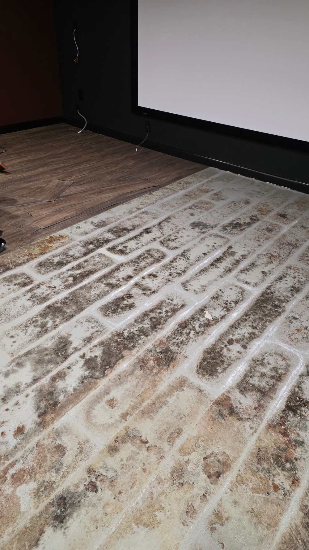 Beforeimage4-blackmoldinbasement