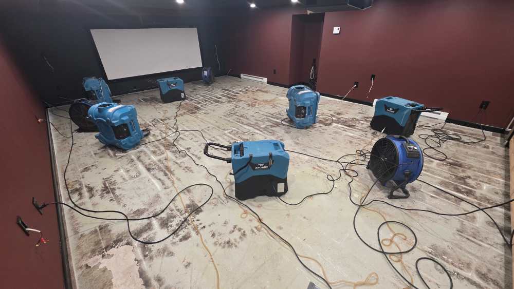Beforeimage5-blackmoldinbasement