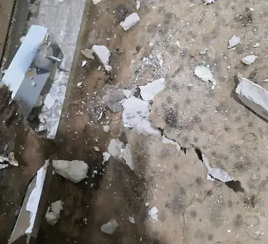 Basement Flood & Mold Damage