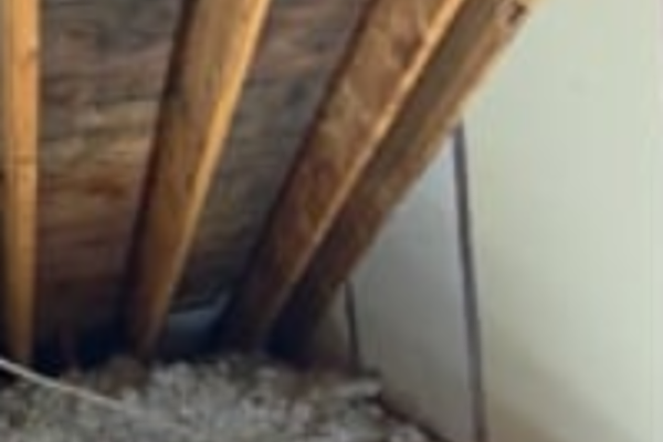 Mold Removal in Attic Before
