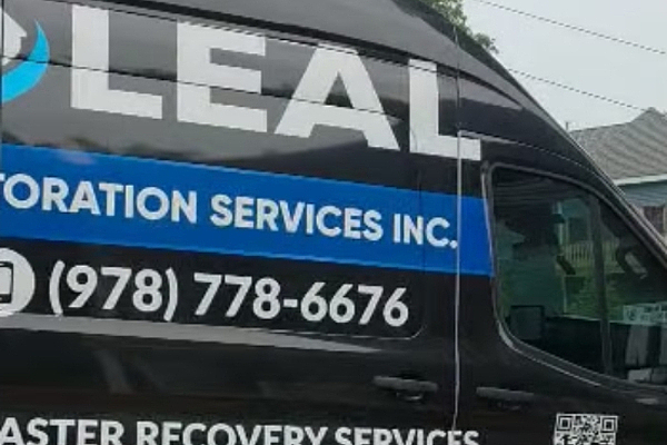 Basement Black Mold Removal – Before Video