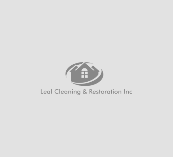 Attic Black Mold Removal – Before & After